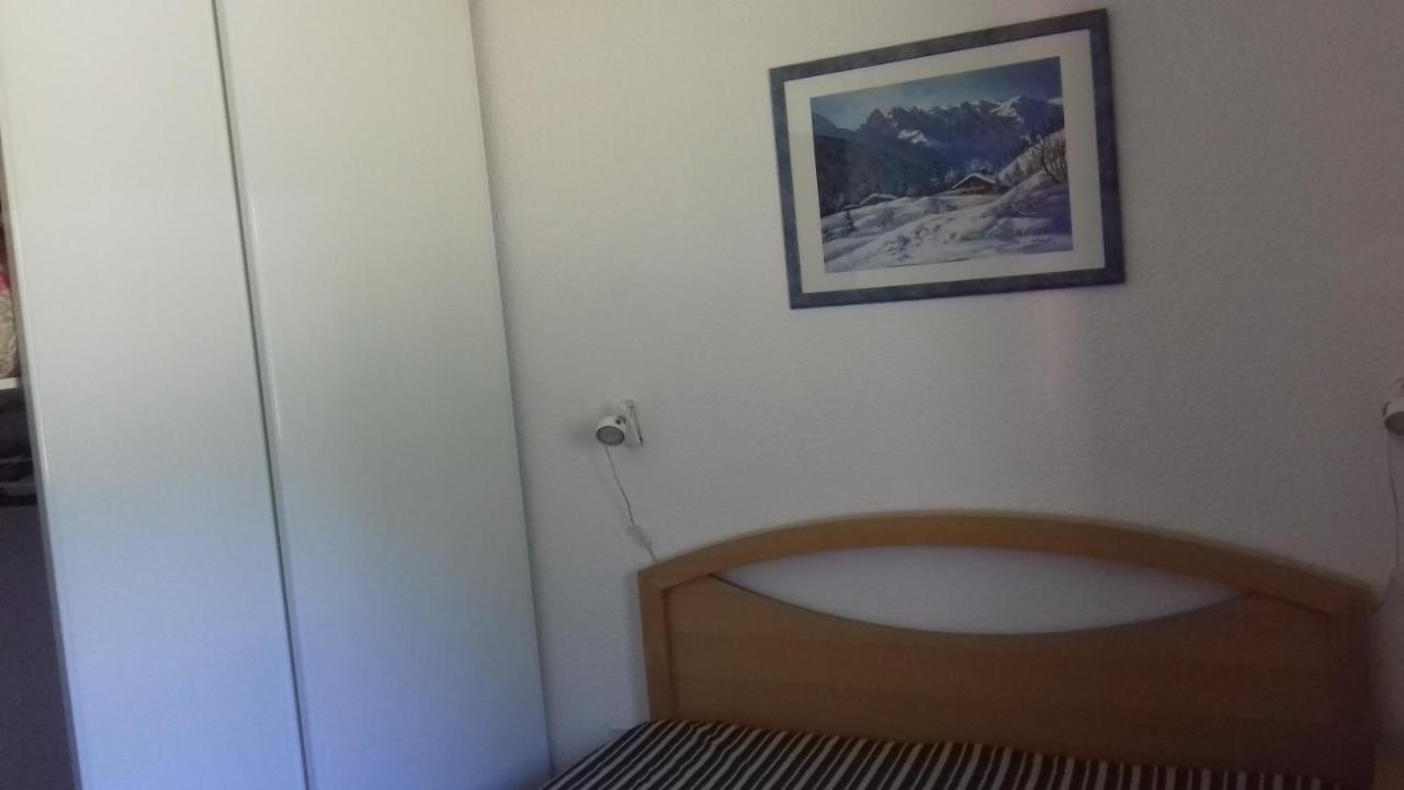 Appartement 24 Les Chalets Du Jardin Alpin La Salle-les-Alpes Zewnętrze zdjęcie