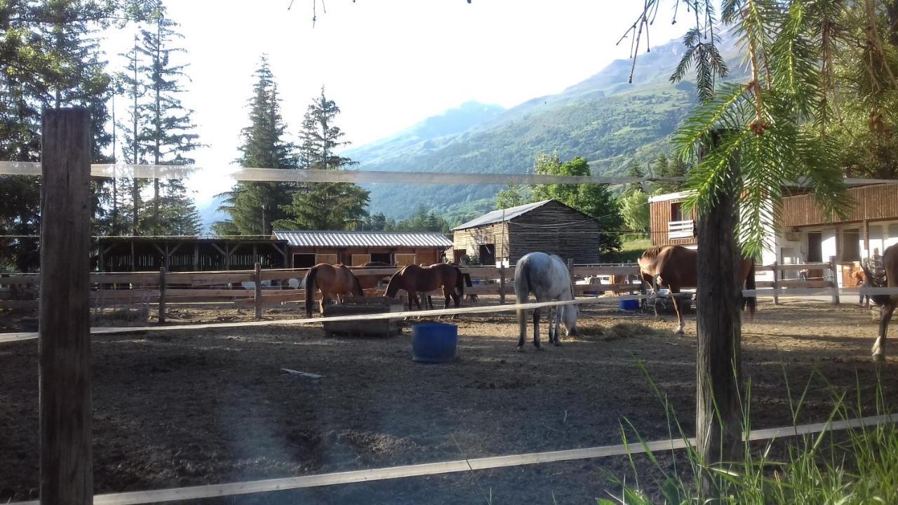 Appartement 24 Les Chalets Du Jardin Alpin La Salle-les-Alpes Zewnętrze zdjęcie